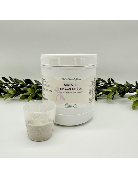 Stress TR Poudre Nutragile