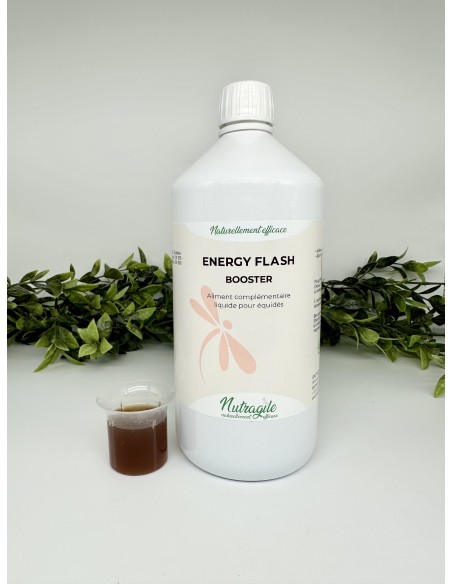 Nutragile Energy Flash - Booster Liquide