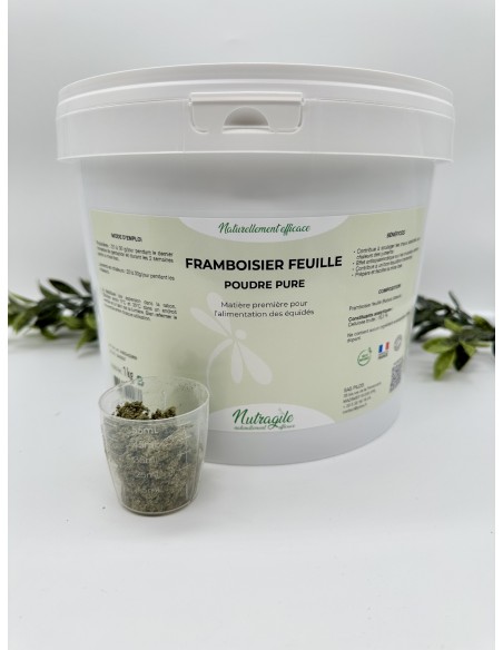 Framboisier Nutragile