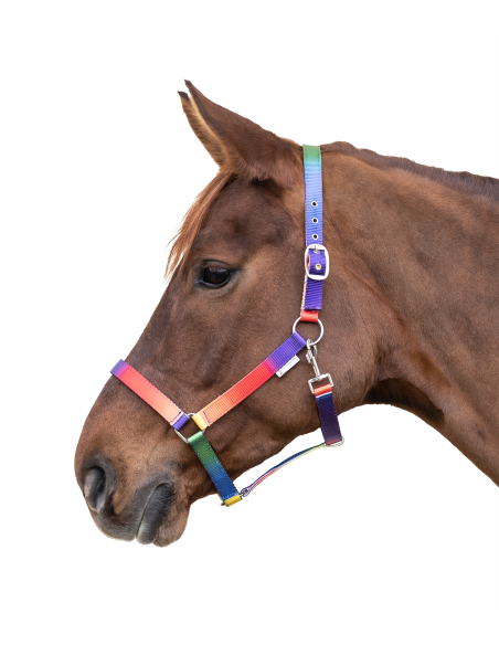 Licol Arc-en-ciel Waldhausen Shetland Poney