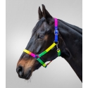 Licol Arc-en-ciel Waldhausen Shetland Poney
