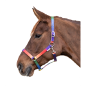 Licol Arc-en-ciel Waldhausen Shetland Poney
