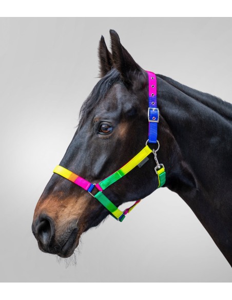 Licol Arc-en-ciel Waldhausen Shetland Poney