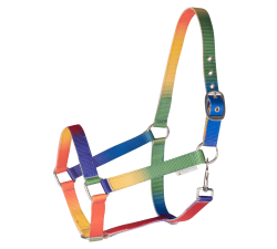 Licol Arc-en-ciel Waldhausen Shetland Poney