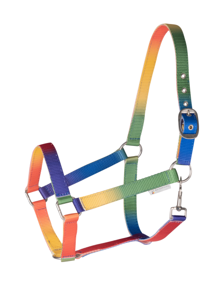Licol Arc-en-ciel Waldhausen Shetland Poney