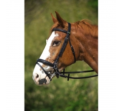 Bridon Éric Thomas muserolle combinée suédoise