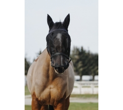 Licol + masque EQUITHÈME