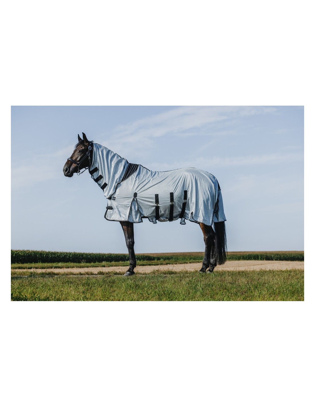 Chemise Cheval Oxford Imperméable Riding World – 300D Noir, Doublure Polycoton, Taille 5.3