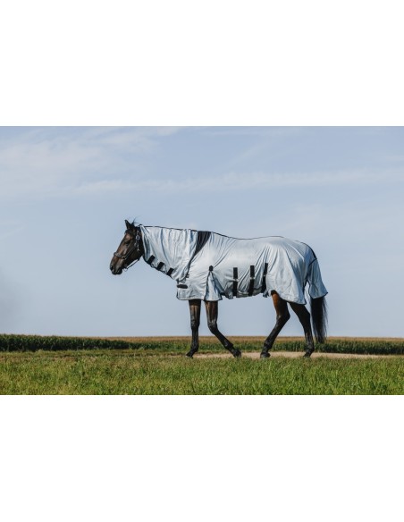 Chemise Riding World - Belly Mesh - Combo