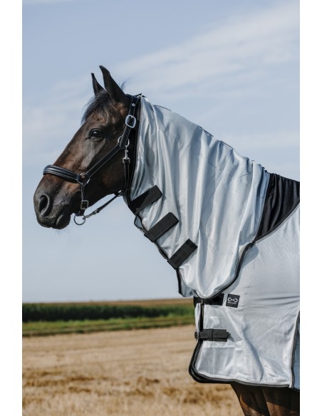 Hemd RIDING WORLD - Belly Mesh - Combo