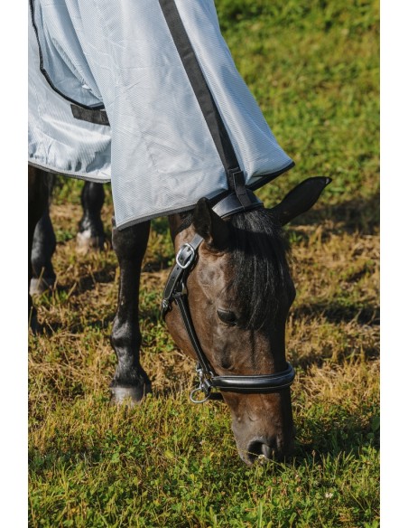 Hemd RIDING WORLD - Belly Mesh - Combo