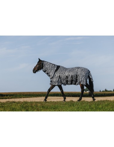 Chemise Riding World - Belly Mesh - Combo