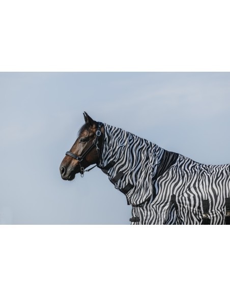 Chemise Riding World - Belly Mesh - Combo