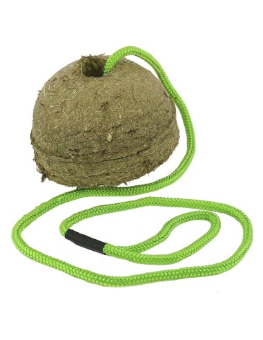 Bloc de foin HIPPOTONIC saveur carotte