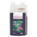 Equilibrium Liquide aliment complémentaire  HILTON HERBS