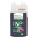 Equimmune pienso complementario líquido HILTON HERBS