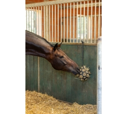 Jeu balle de foin pour box cheval
