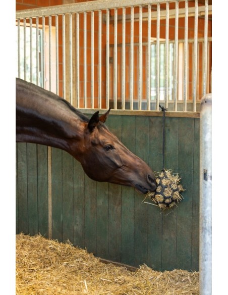 Jeu balle de foin pour box cheval
