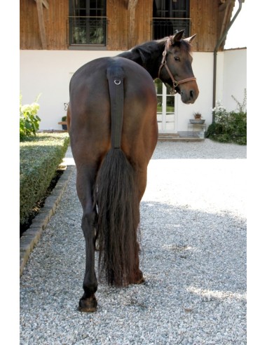 Protège-queue cheval caoutchouc synthétique
