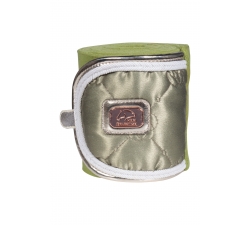 Bandes polaires -Edinburgh-HKM