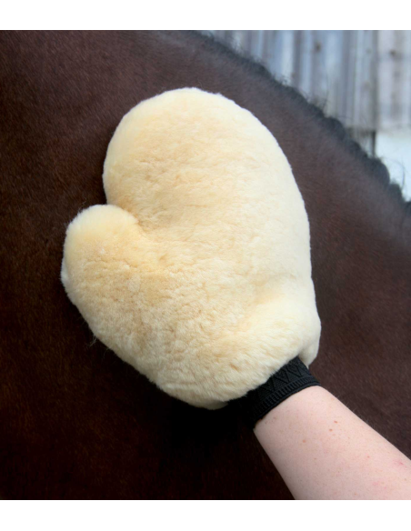 Gants en Mouton Waldhausen
