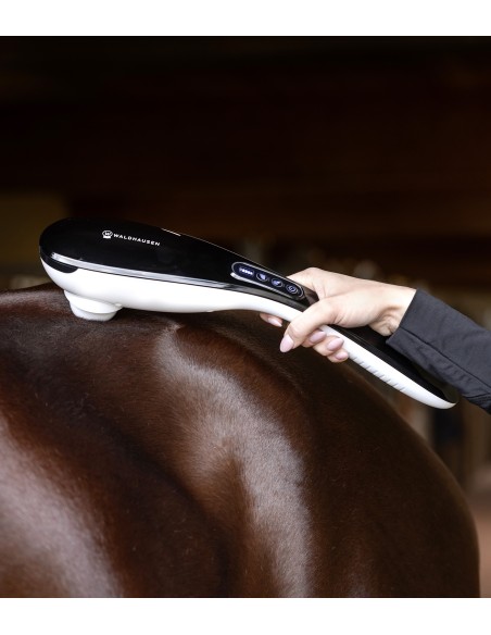 Massagegerät GO-Anywhere Waldhausen Health + Care