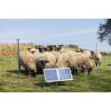 Electrificateur SunPower S2400 Smart AKO