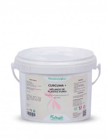 Curcuma+ Nutragile