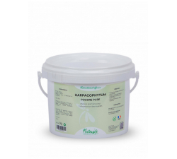 Harpagophytum Poudre Nutragile
