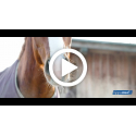 Inhalador ultrasónico inalámbrico para caballos AirOne Flex