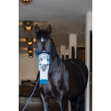 Inhalador ultrasónico inalámbrico para caballos AirOne Flex