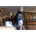 Inhalateur à ultrasons pour chevaux AirOne