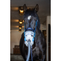 Inhalateur à ultrasons pour chevaux AirOne