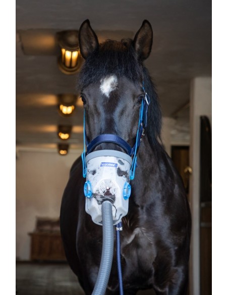 Inhalateur à ultrasons pour chevaux AirOne