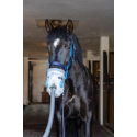 Inhalateur à ultrasons pour chevaux AirOne