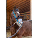 Inhalador ultrasónico para caballos AirOne