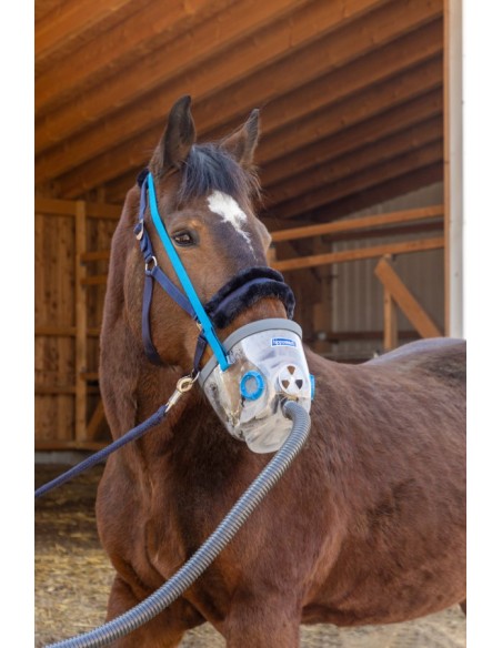 Inhalateur à ultrasons pour chevaux AirOne