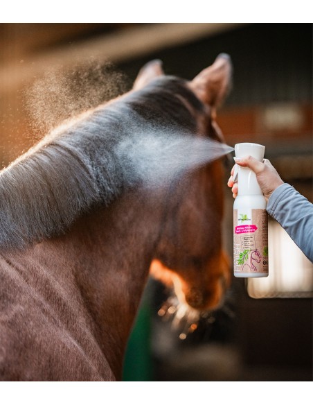 Natural Finish, 500 ml Bense & Eicke