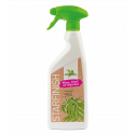 Star Finish, 500 ml Bense & Eicke