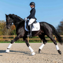 Tapis de Competition