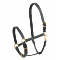 STAR Robust Lederhalfter