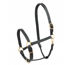 STAR Robust Lederhalfter