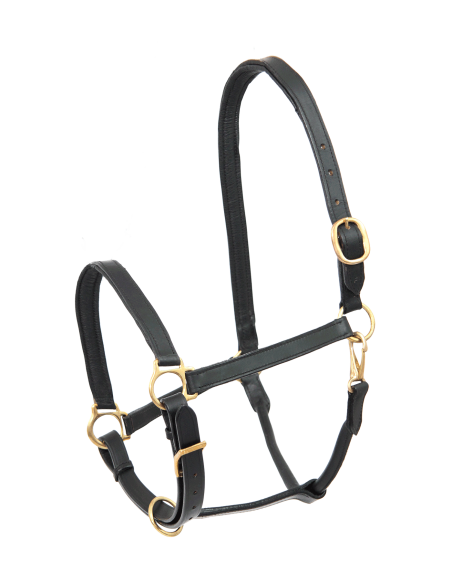 STAR Robust Lederhalfter