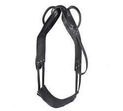 STAR Voltigier- und Longensurfixe