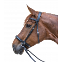 Gebisslose Trense STAR