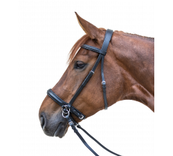 Bridon sans mors STAR Waldhausen