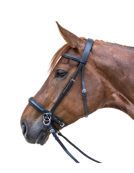 Bridon sans mors STAR Waldhausen