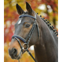 Bridon Diamond Star Waldhausen