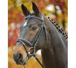 Bridon Diamond Star Waldhausen