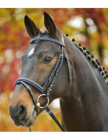 Bridon Diamond Star Waldhausen